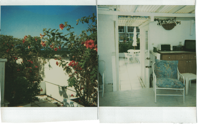 Rooftop Garden Polaroid - Flowers and Furniture