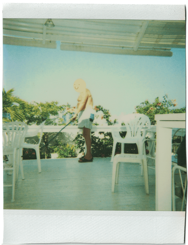 Rooftop Garden Polaroid - Old Flowers
